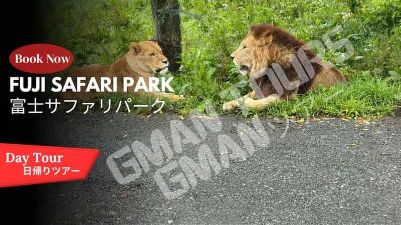 Billet Parc safari du mont Fuji : visite privative avec chauffeur anglophone