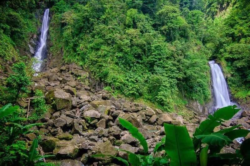 Billet Tour de ville avec jardins, volcan, chutes de Trafalgar, Morne Bruce