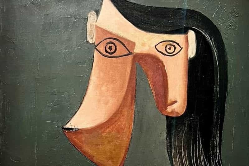 Paris : Billet pour le musée Picasso et croisière facultative sur la Seine