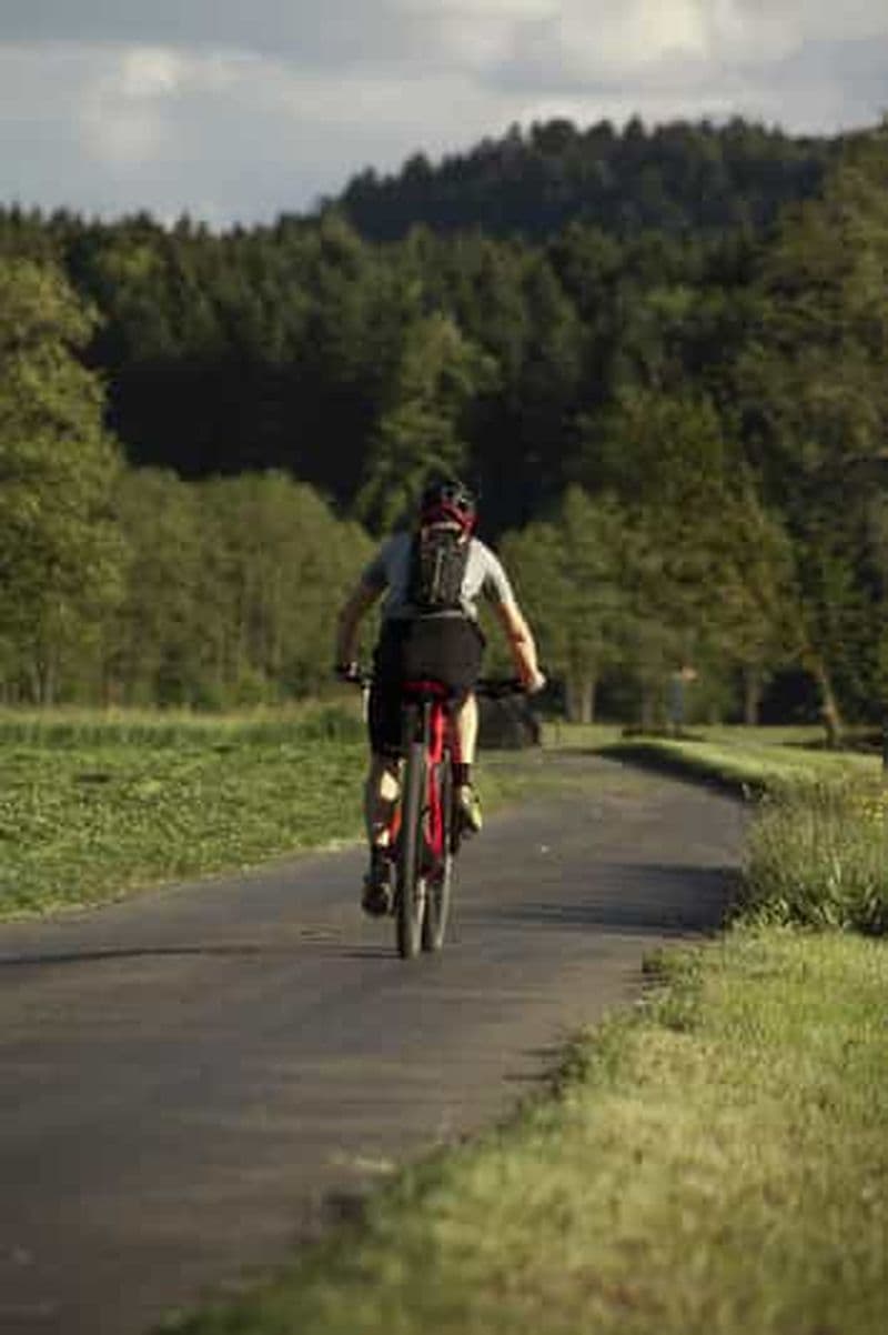 Billet Visite privée d'une jounée à vélo et randonnée dans le parc national d'Acadia