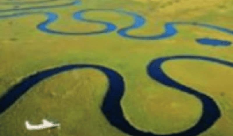 Billet Excursion d'une journée en mokoro dans le delta de l'Okavango