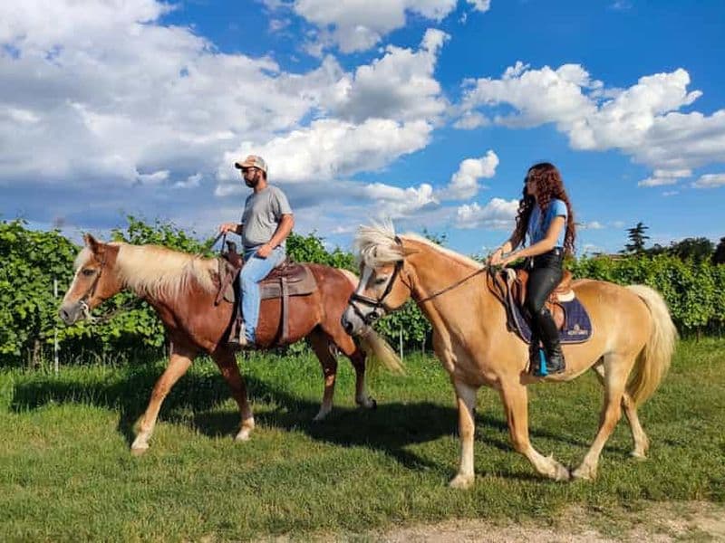 Lac de Garde : 2 heures de balade à cheval dans la campagne