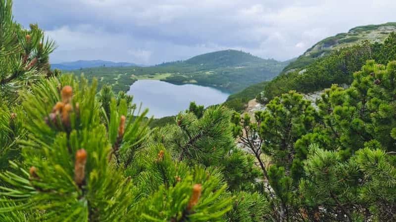 Billet Depuis Sofia : Excursion d'une journée aux sept lacs et cascades de Rila