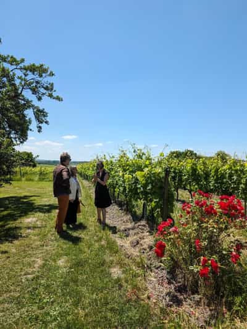 Cognac Escapade 4x4 dans le vignoble et visite/dégustation chez un vigneron