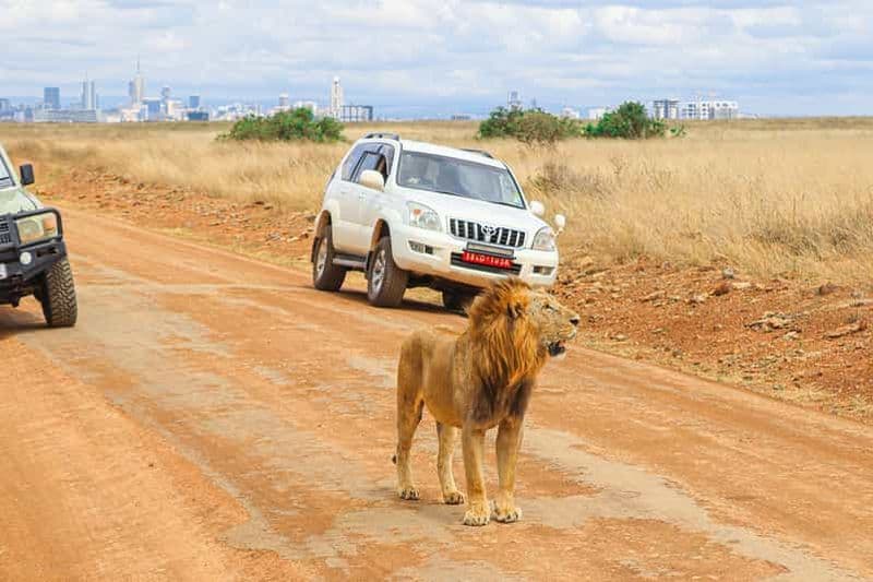 Nairobi : visite privée du parc national en Jeep 4X4