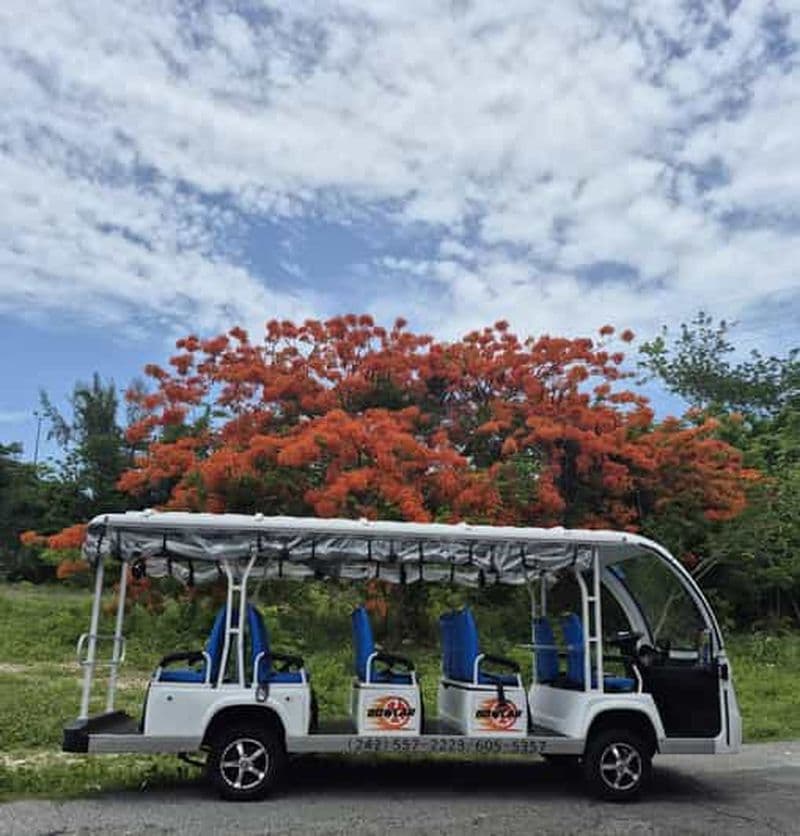 Nassau : visite de la ville en bus à arrêts multiples