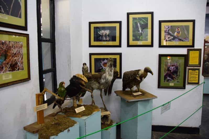 Billet Arusha : visite guidée du musée d'histoire naturelle