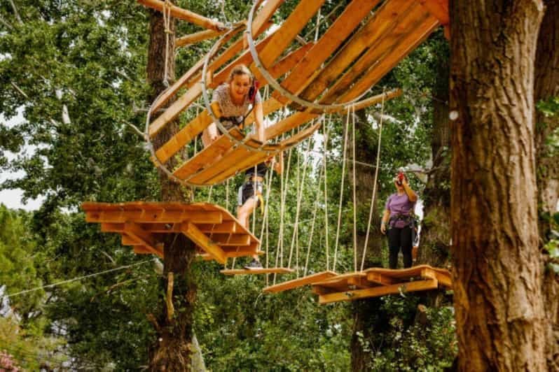Roquebrune-sur-Argens : Zipline géante et escalade dans les arbres