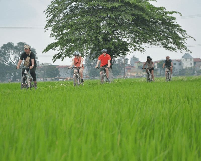 Billet Excursion à vélo dans la campagne de Hanoi : La culture du fleuve Rouge et la vie quotidienne