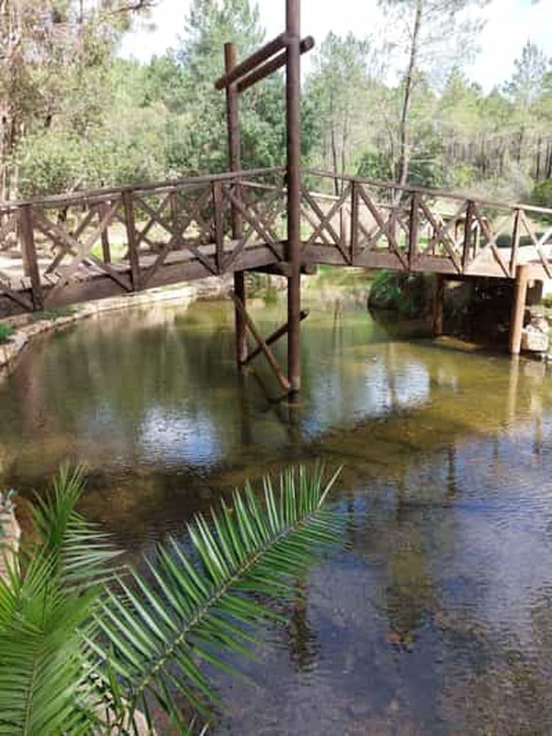 Billet Algarve : usine de liège, parc Fonte Férrea et visite de la distillerie