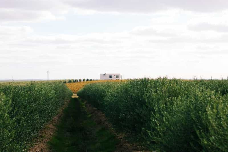 Billet Casa Relvas, Vidigueira : visite du moulin à huile, dégustation technique d'huiles d'olive et de vins