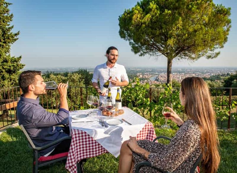 Vérone : Dégustation de vins avec collations et vues panoramiques de la ville
