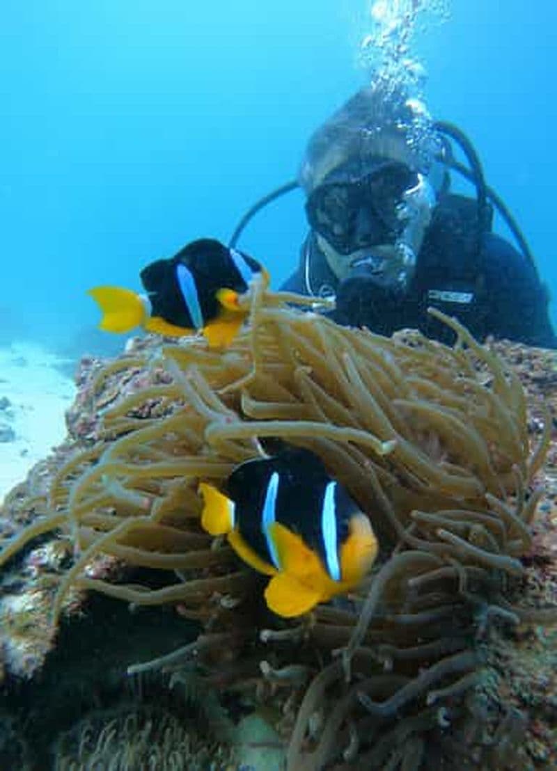 Billet plongée sous-marine dans les îles daimaniyat