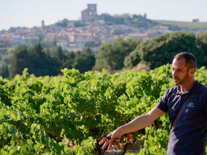 Billet Au départ d'Avignon : visite d'une demi-journée à Châteauneuf du Pape