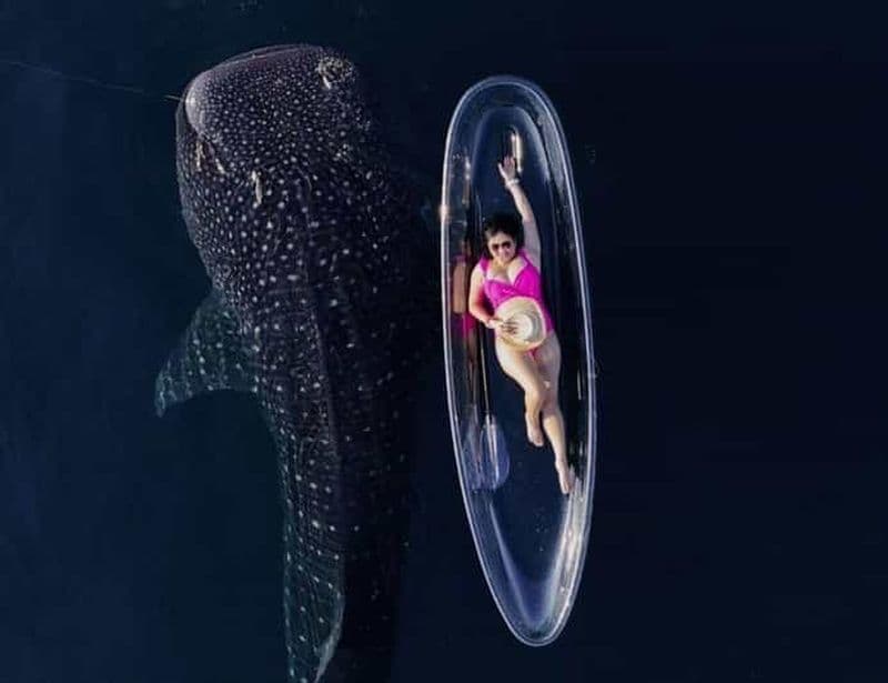 CIRCUIT EXCLUSIF REQUINS BALEINES 4J3N INCLUANT LE DRONE