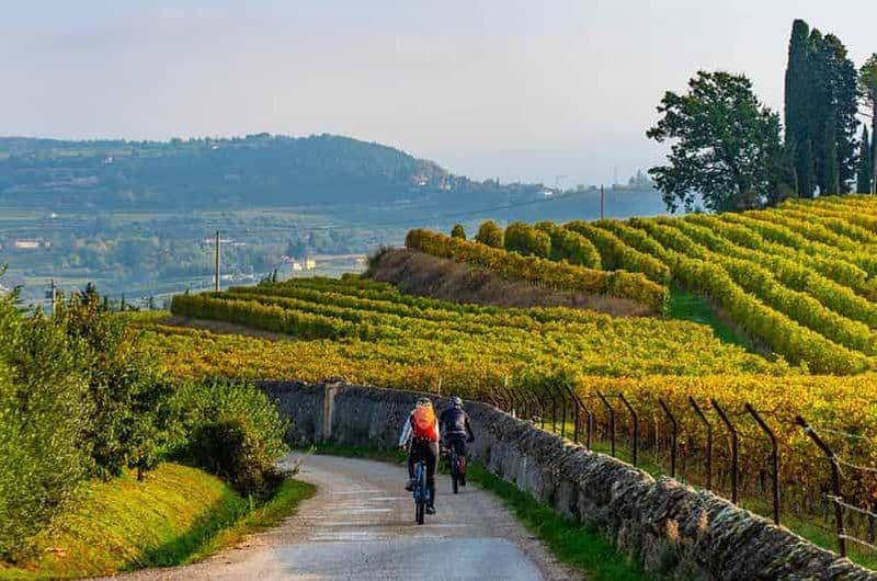 Billet Isola d'asti : E-Bike et dégustation de vins