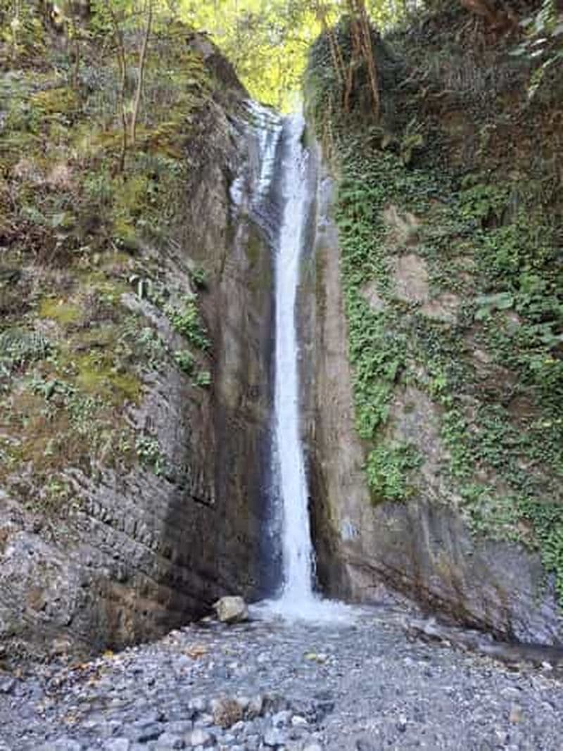Billet Parc national de Pollino : randonnée dans la réserve naturelle d'Argentino
