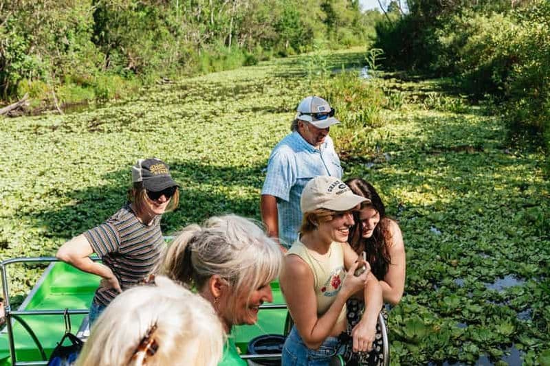 Billet Kissimmee, Floride : excursion de 2 heures en hydroglisseur dans les Everglades de Floride