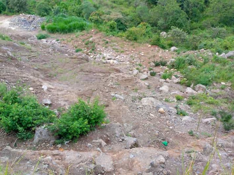 Billet Au départ de Nairobi : visite guidée d'observation des oiseaux