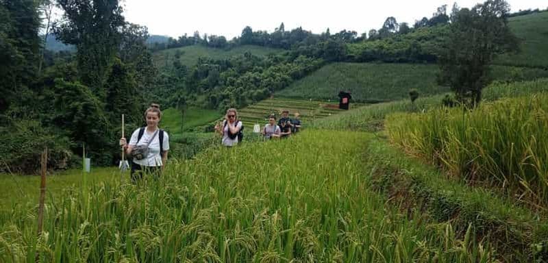 Chiang Mai : 2 jours de randonnée dans la jungle avec ferme d'éléphants et balade en radeau