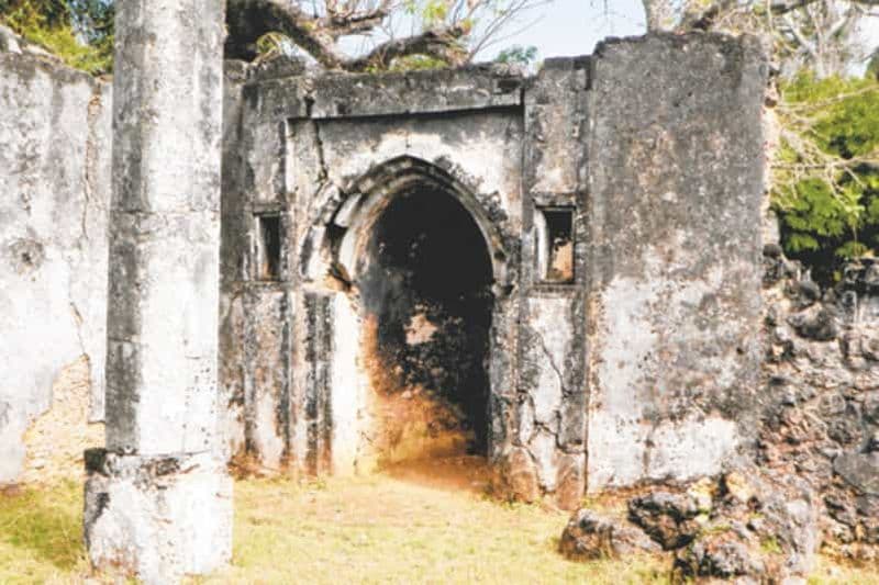 Billet Excursion d'une journée aux ruines de Tongoni - depuis la ville de Tanga