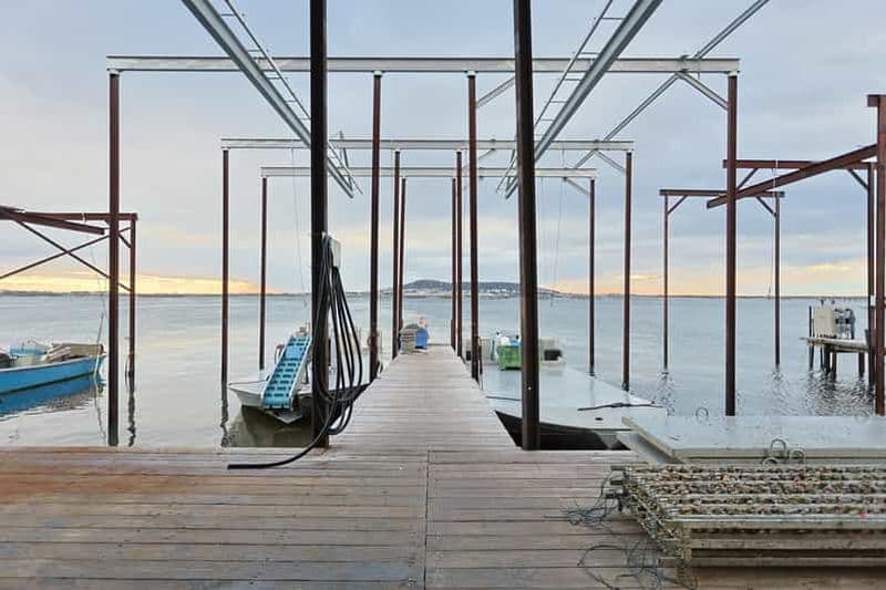 Billet Loupian : Guide de la visite de notre parc à huîtres et de la dégustation.