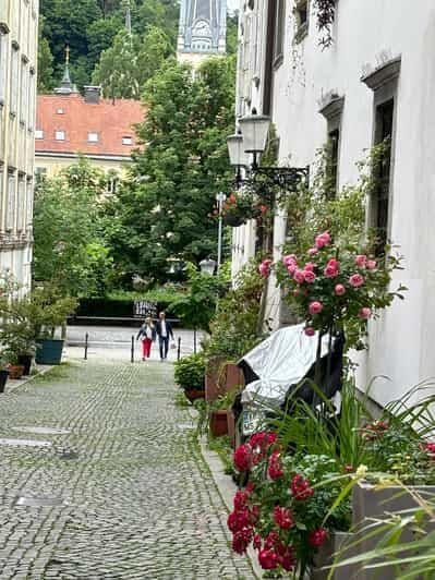 Billet Ljubljana : Visite guidée en scooter électrique avec un guide de la région