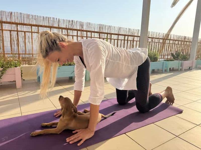 Paphos (Peyia) : Yoga en pleine conscience avec des chiots de refuge