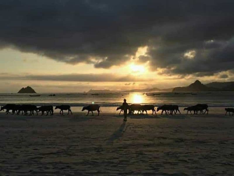 Excursion à Lombok : poterie et visite des plages