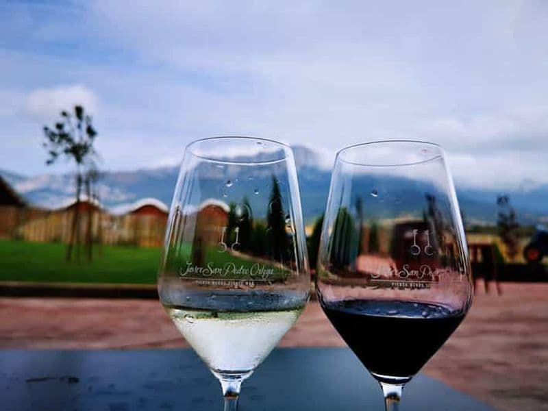 Billet Rioja : visite du vignoble avec un expert local et dégustations