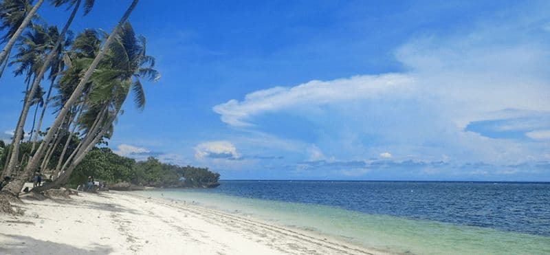 Billet Visite de la côte de Siquijor avec déjeuner