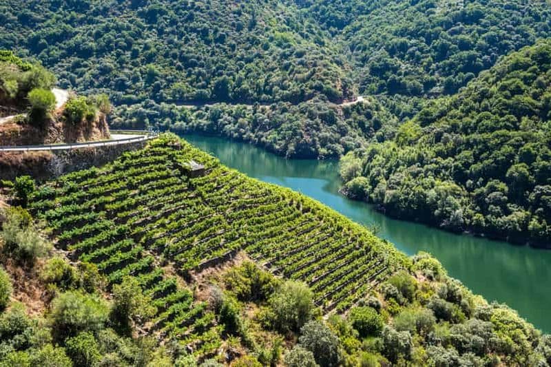 Billet Depuis Saint-Jacques-de-Compostelle : visite privative de la Ribeira Sacra avec excursion en bateau