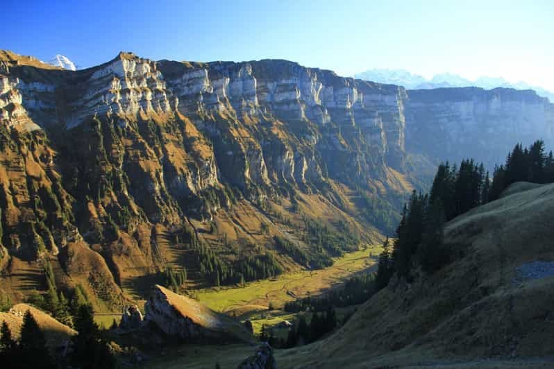Billet Depuis Interlaken : Tour des Alpes suisses en minibus et chute d'eau