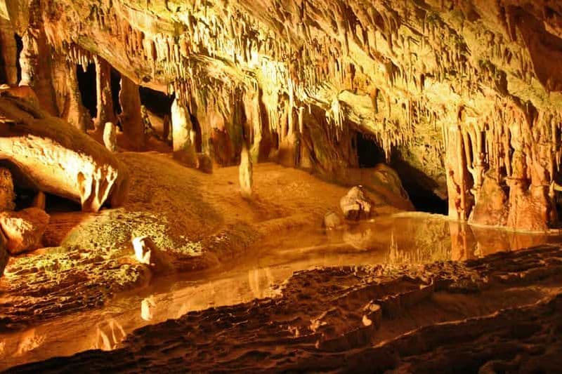 Puerto de San Miguel : Visite guidée de la grotte de Can Marçá avec entrée