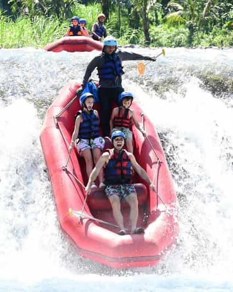 Billet Sidemen, Bali : Rafting privé sur la rivière Telaga Waja avec déjeuner
