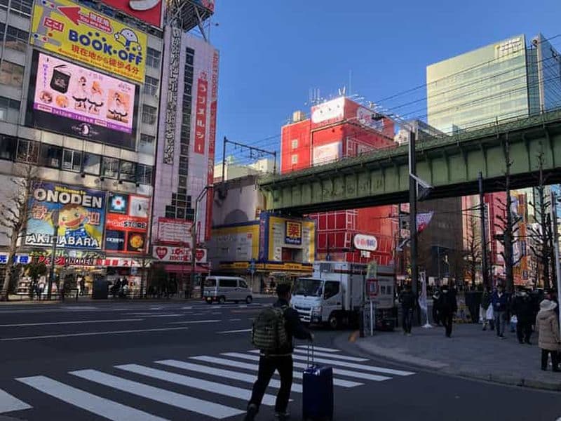 Tokyo : Marché aux poissons de Tsukiji et visite de la culture pop d'Akihabara !