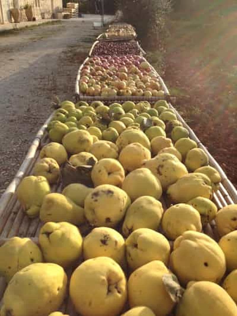 Billet Cisternino : Atelier de cosmétique naturelle