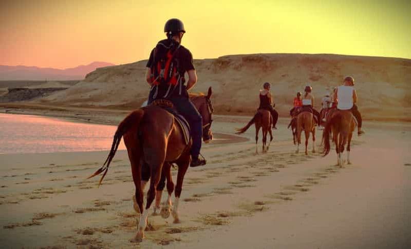 Hurghada : Coucher de soleil sur la mer, cheval dans le désert, dîner, observation des étoiles