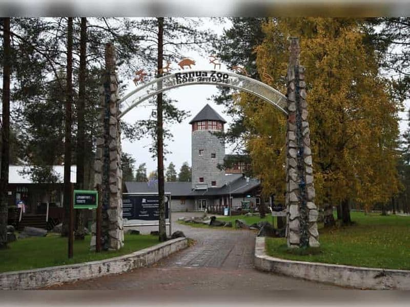 Rovaniemi : transfert au zoo de Ranua en minibus privé
