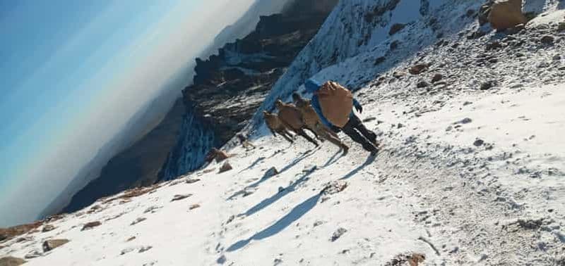 Billet 4 jours d'ascension du Mont Meru en Tanzanie (Départ - Arusha)