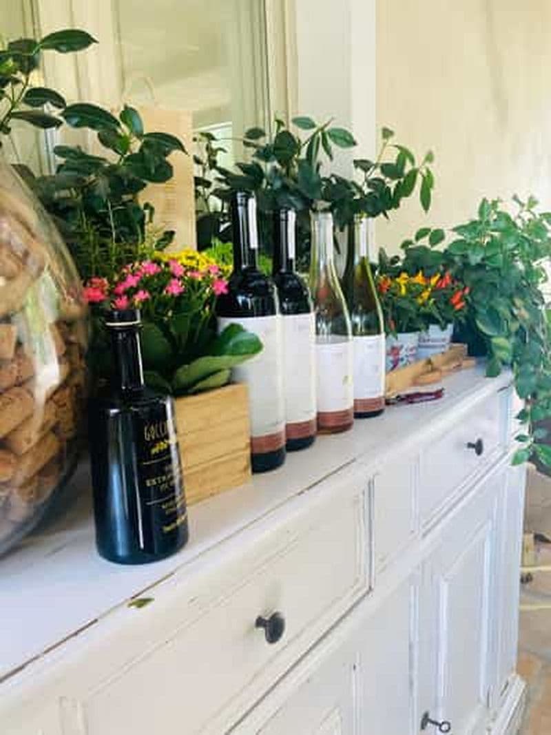 Lucques - Dégustation de vin naturel à Tenuta Mareli