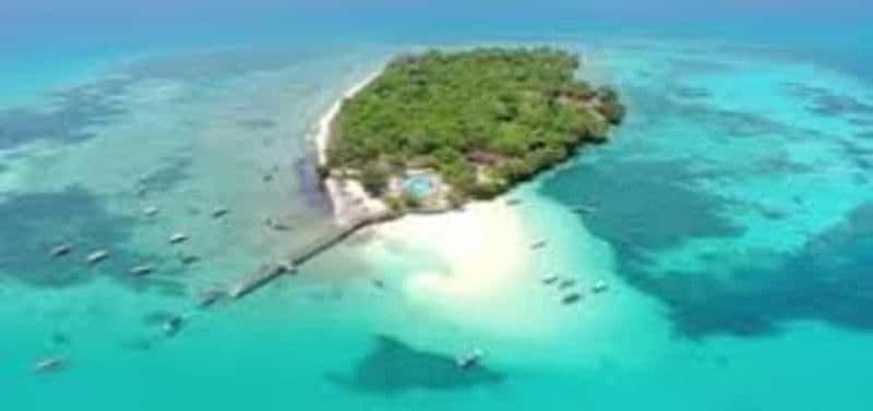 Billet Zanzibar : visite d'une demi-journée de l'île de la Prison et de l'île de Changuu