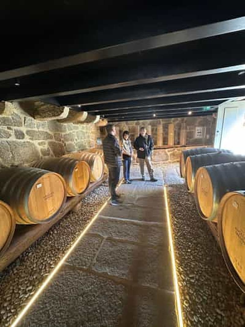 Billet Porto: Vinho Verde Region Tour with 2 Wineries & Lunch