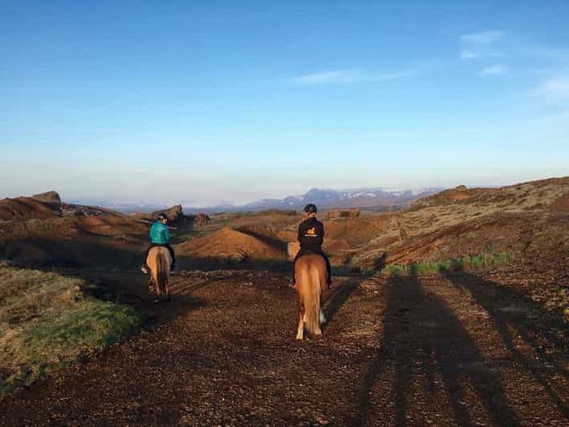 Billet Reykjavik : Randonnée à cheval sur le Sleipnir en soirée avec prise en charge
