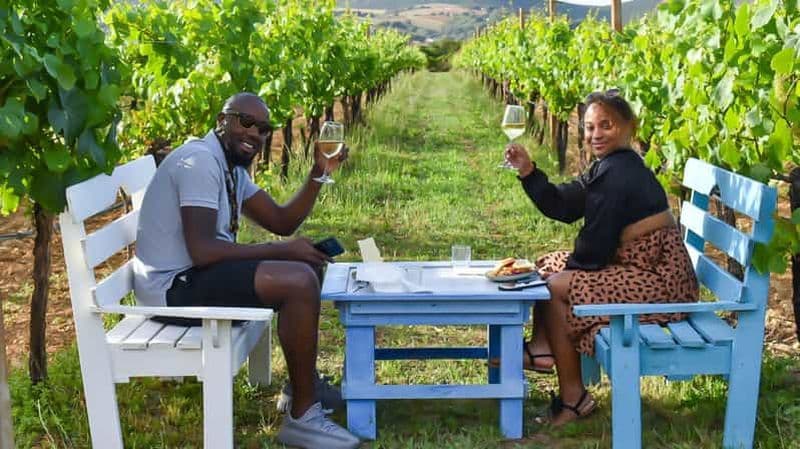 Alghero : dégustation de vins avec apéritif local dans les vignobles