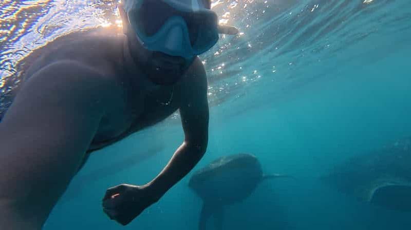 Nage avec les requins baleines à Oslob, Cebu, et canyoning aux chutes de Kawasan