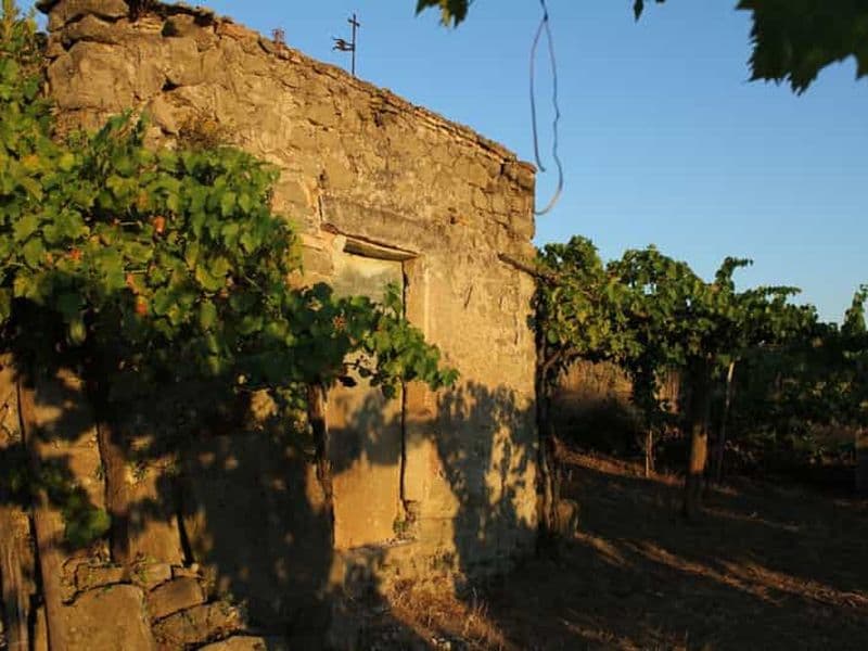 Billet Dégustation de vins et visite d'une ville médiévale dans les Castelli Romani