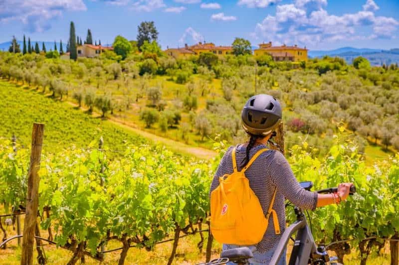 Florence : Excursion en E-Bike dans le Chianti avec déjeuner et deux dégustations de vin