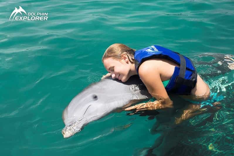 Billet Punta Cana Dolphin Experience : 50 minutes de plaisir aquatique