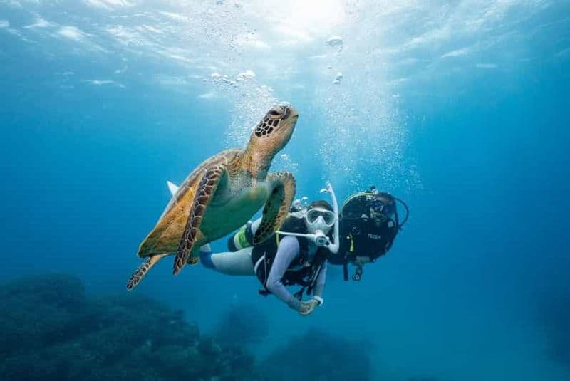 Zakynthos : expérience de plongée sous-marine avec photos sous-marines